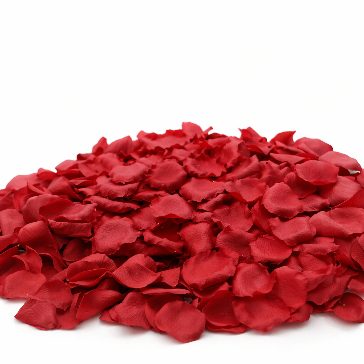 Rose Petals